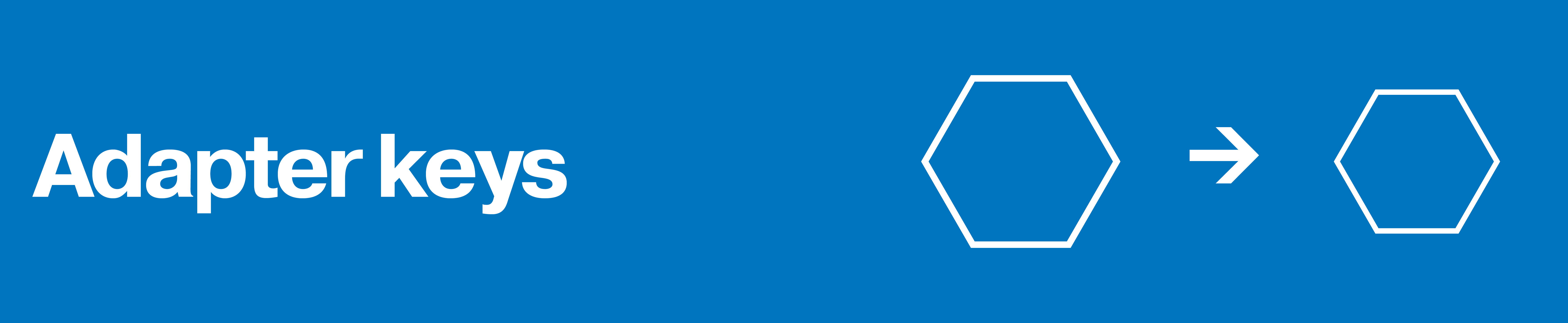 Adapter key Blue banner with two hexagonal symbols connected by an arrow.